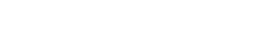 NW Pelvic Health white logo